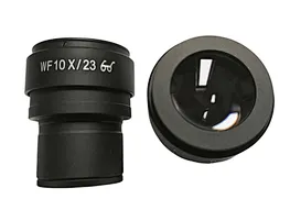 FOV23